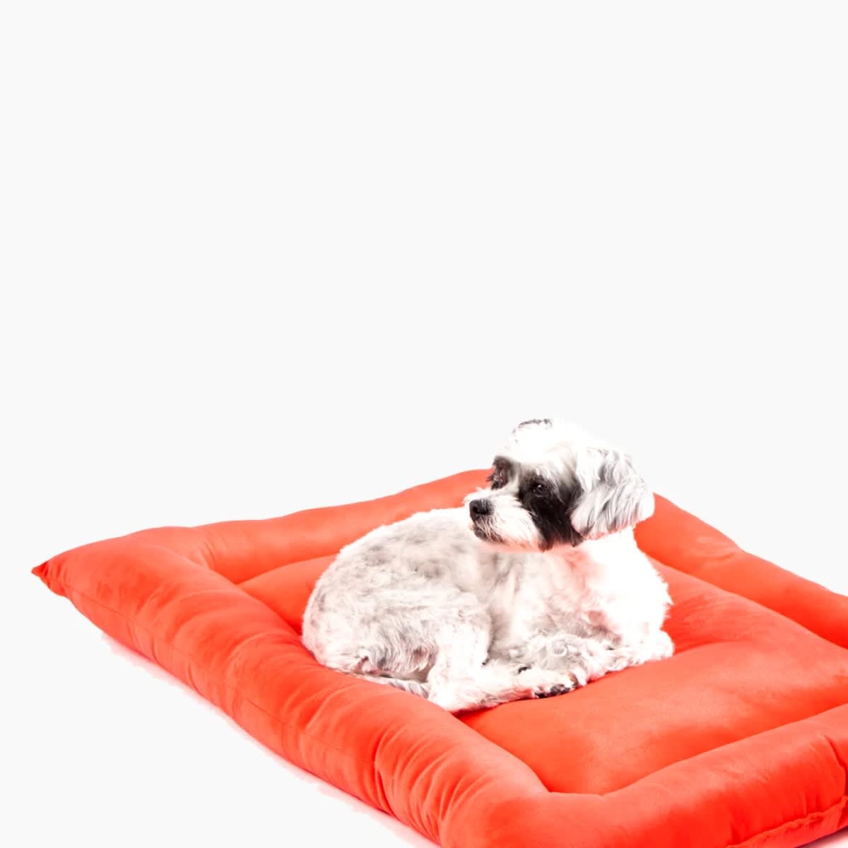 CAMA COLCHONETA ROJA3