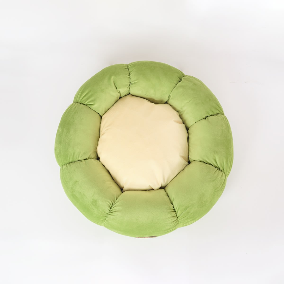 CAMA LOTTO2