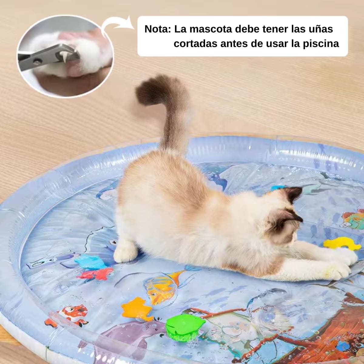 CAMA PISCINA PARA MASCOTAS3