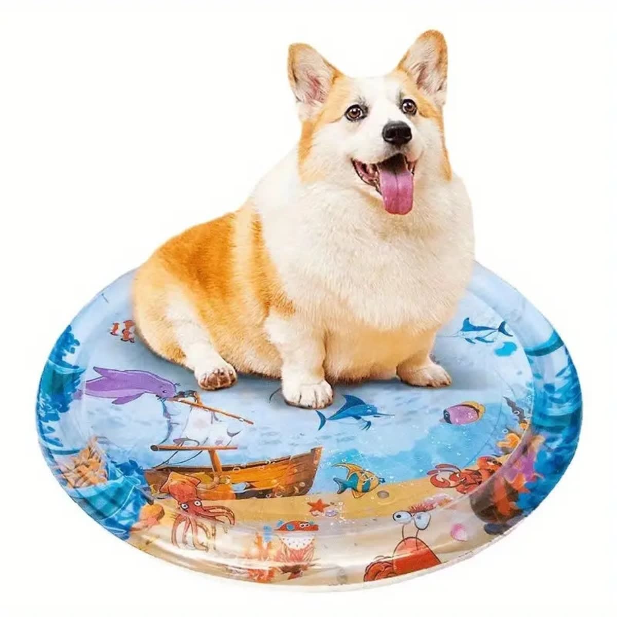 CAMA PISCINA PARA MASCOTAS1