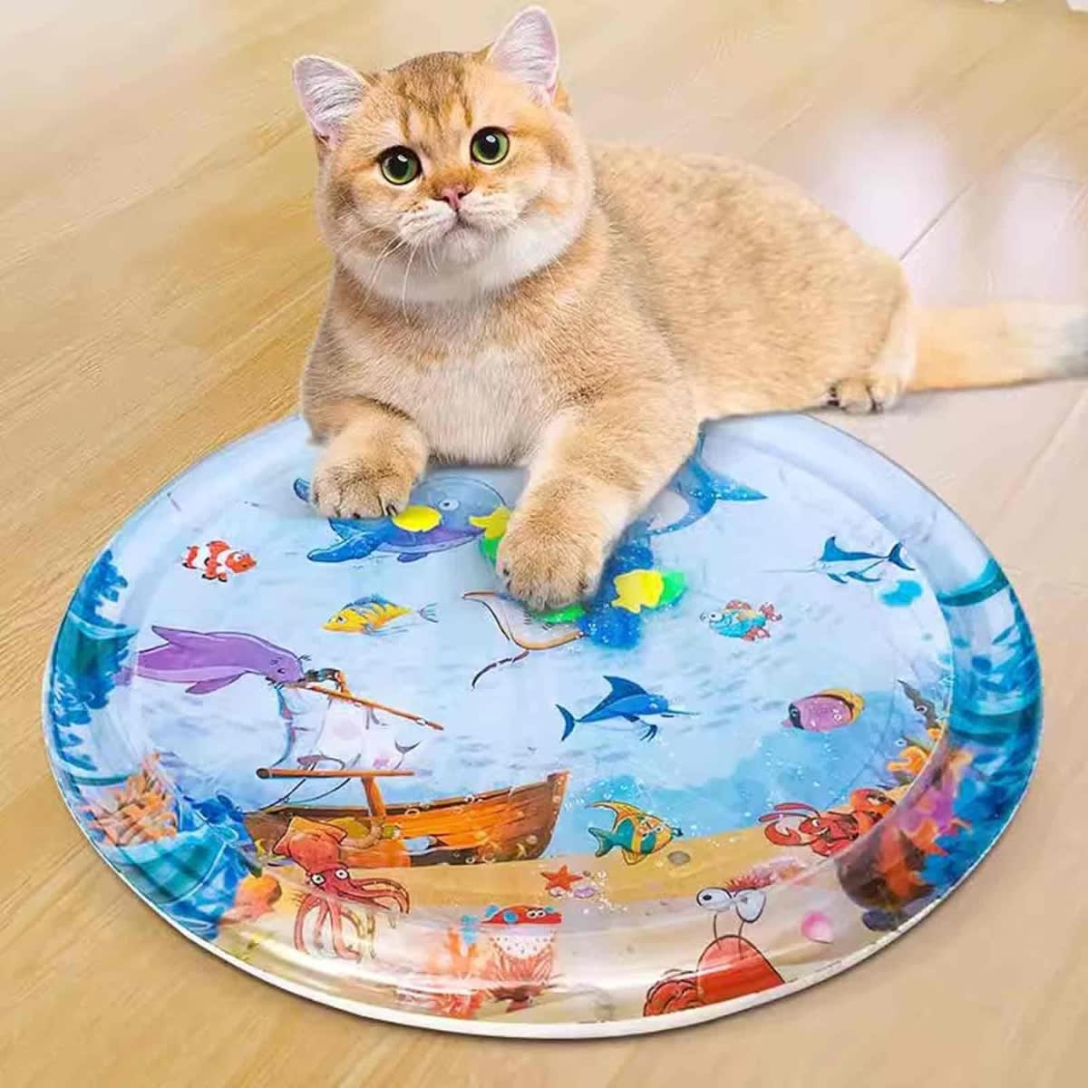 CAMA PISCINA PARA MASCOTAS2