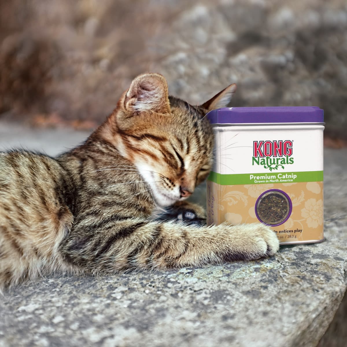 Catnip Kong CN21 1 oz2