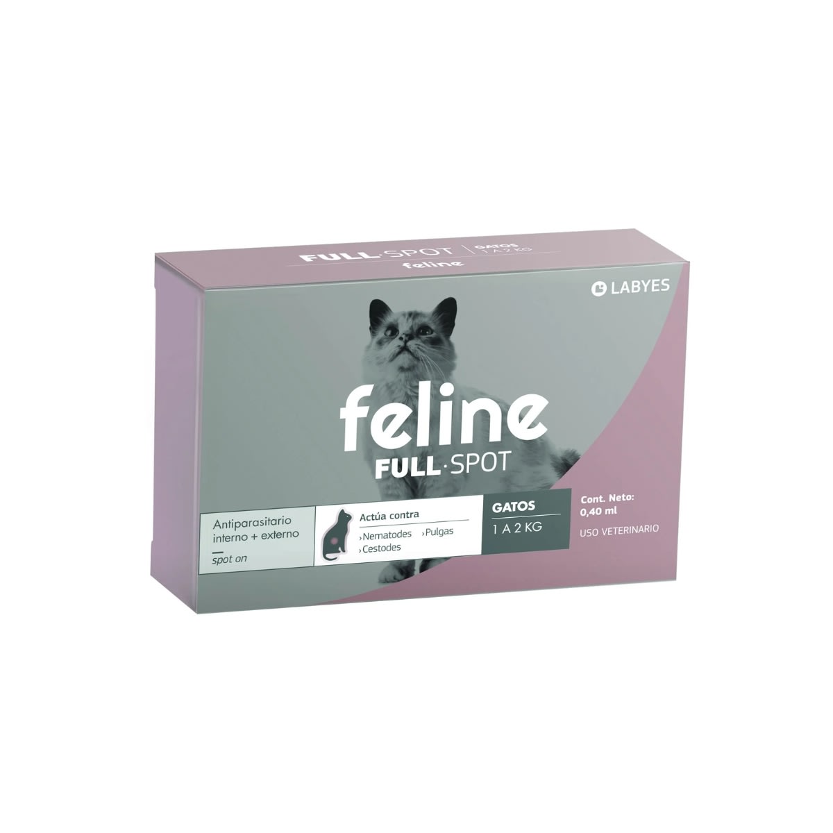Feline Fullspot1