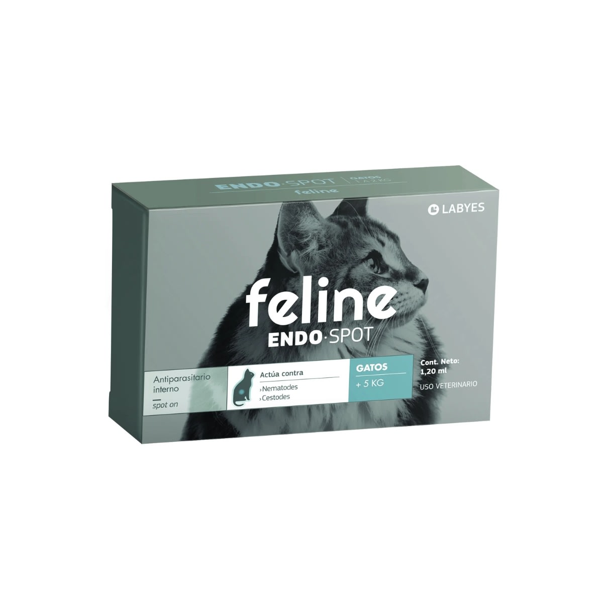 Feline Fullspot2