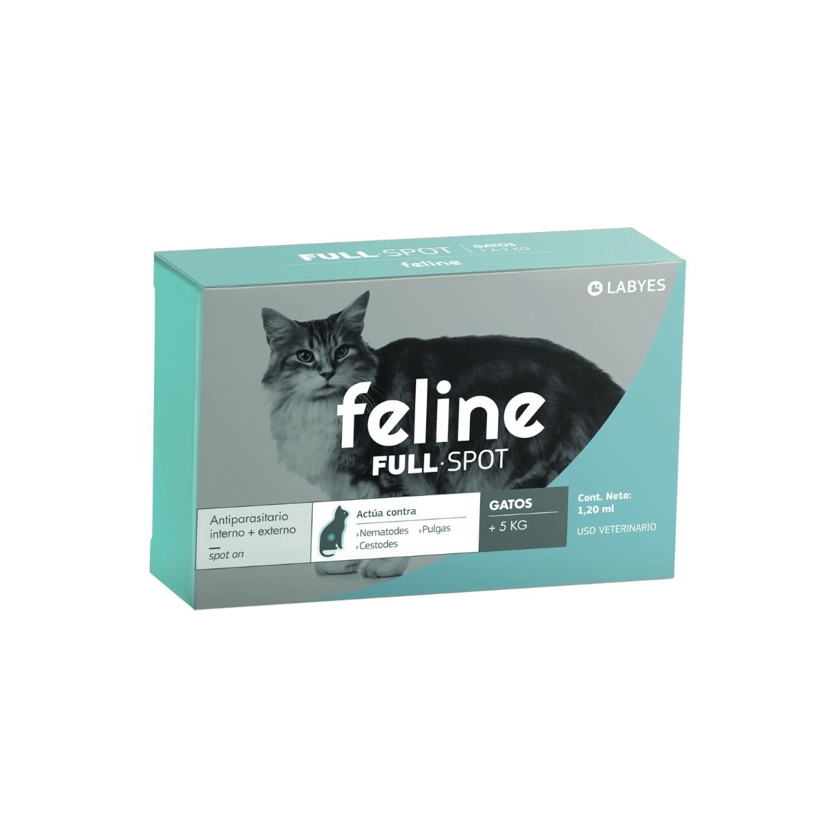 Feline Fullspot3