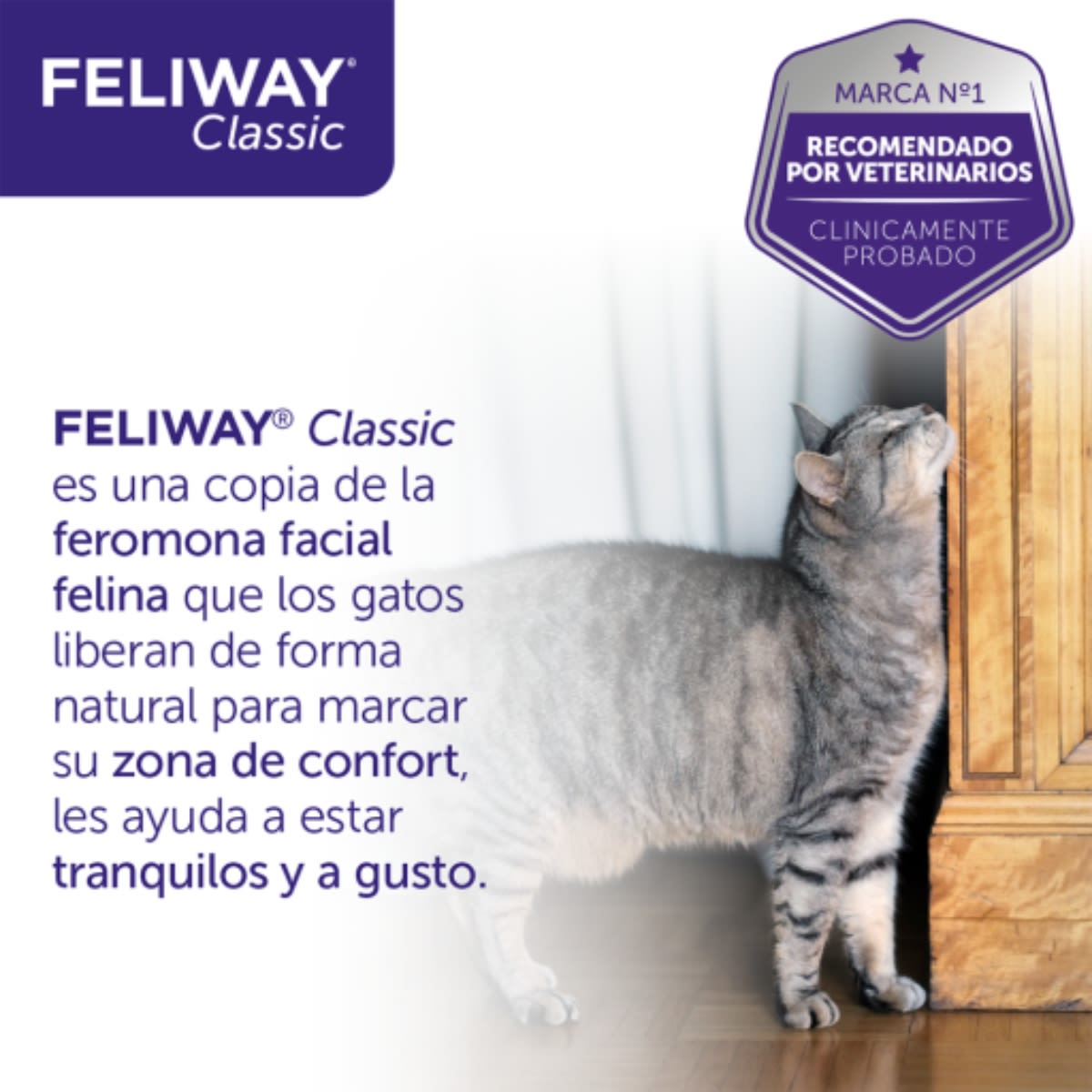 FELIWAY CLASSIC RECARGA 48 ML2