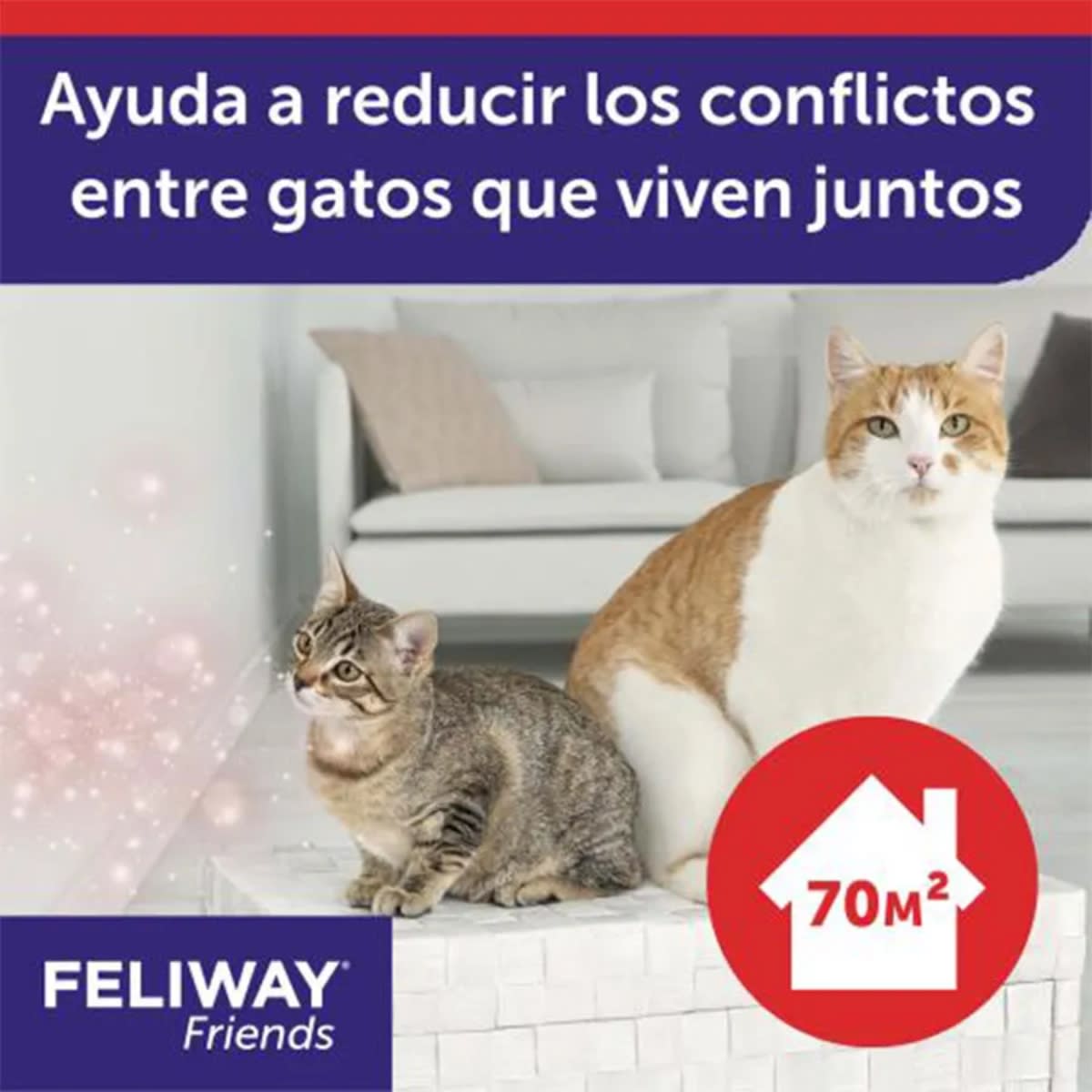 FELIWAY FRIENDS DIFUSOR Y RECARGA 48 ML2