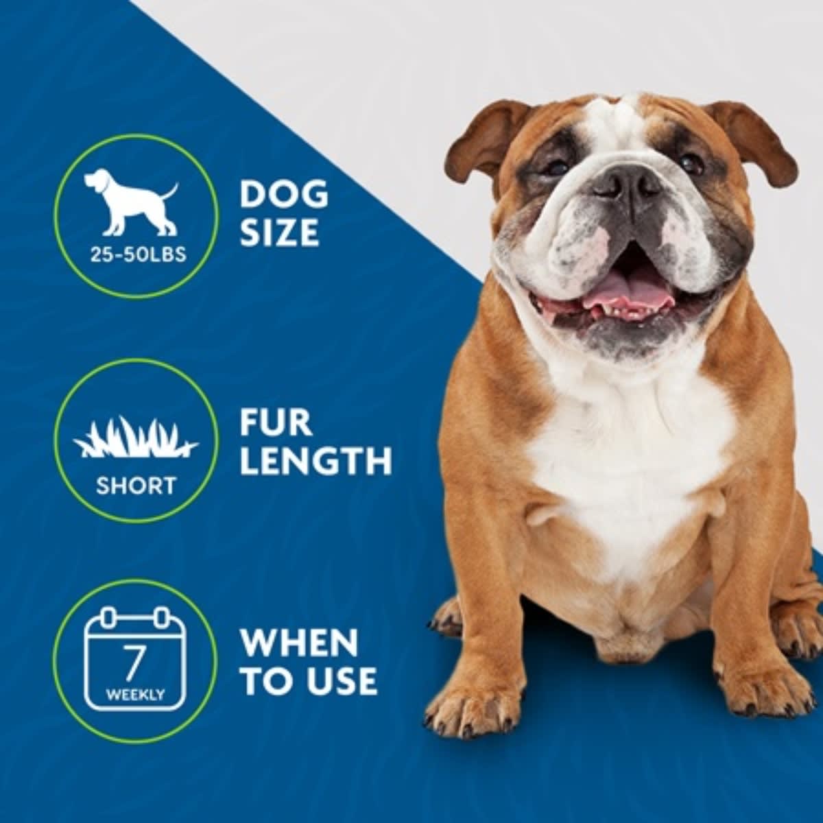 Furminator Undercoat M perro pelo corto3