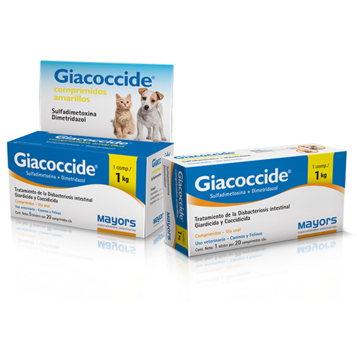 Giacoccide comprimido por unidad1