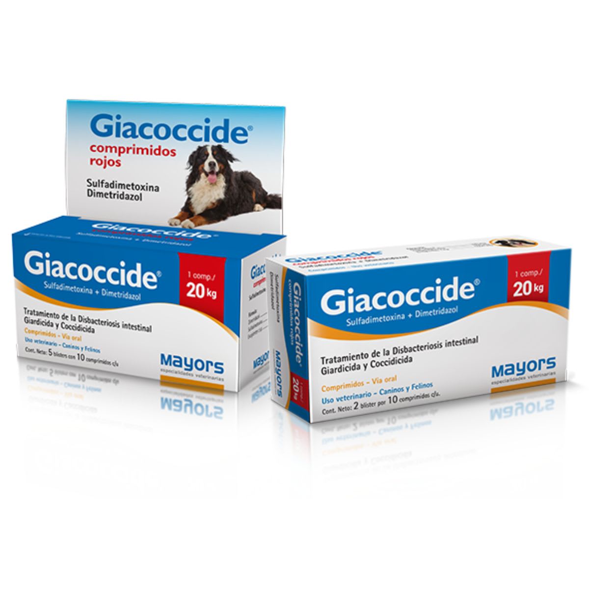 Giacoccide comprimido por unidad3