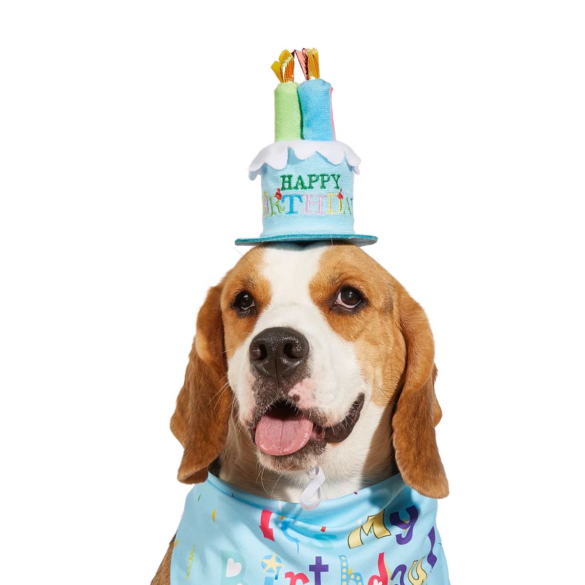 GORRITO TORTA CUMPLEAÑOS2