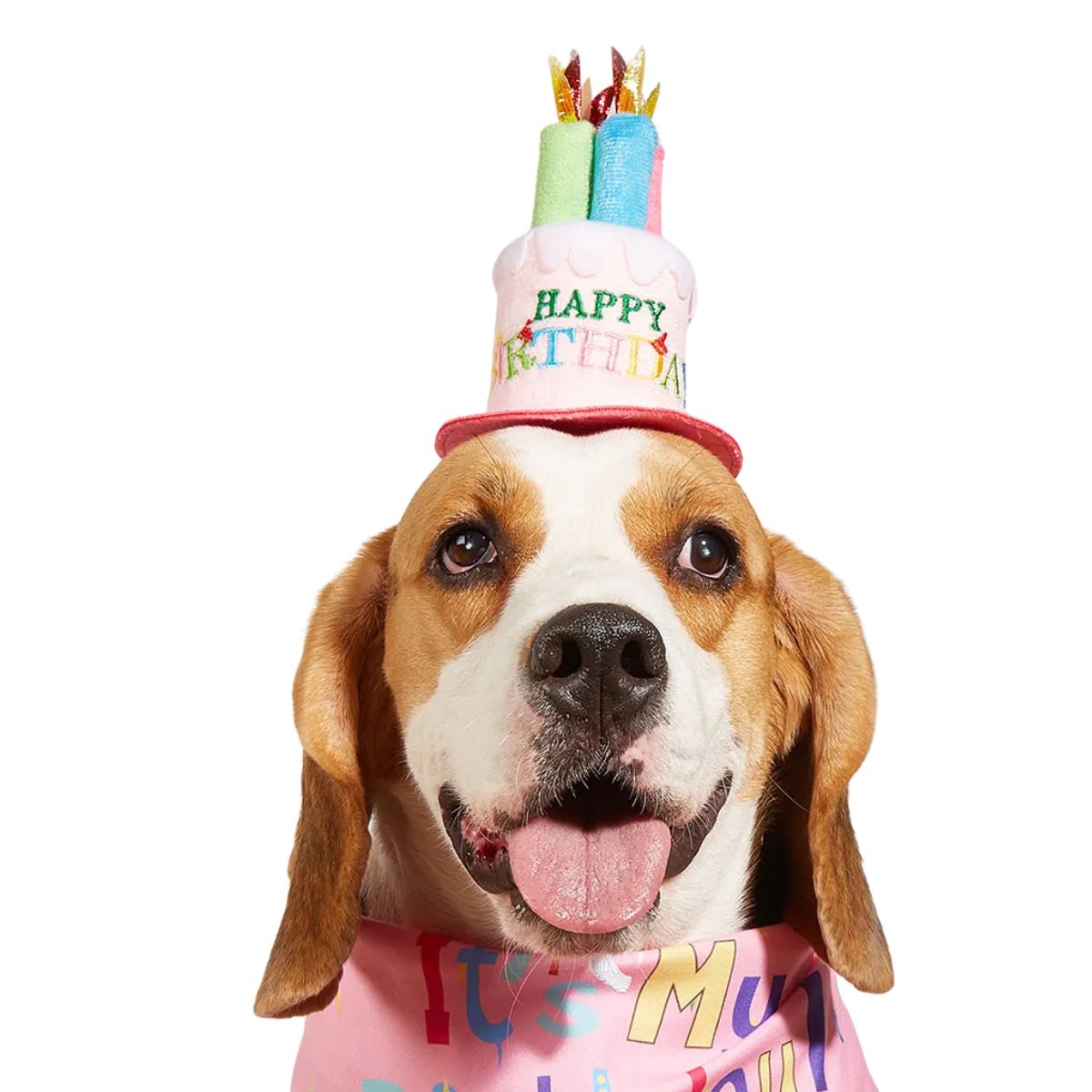 GORRITO TORTA CUMPLEAÑOS4
