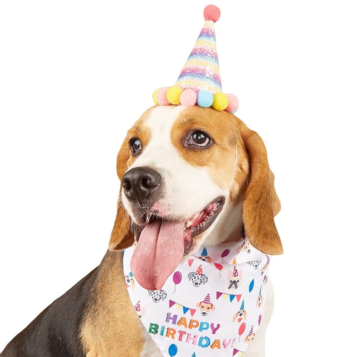 GORRO DE CUMPLEAÑOS2