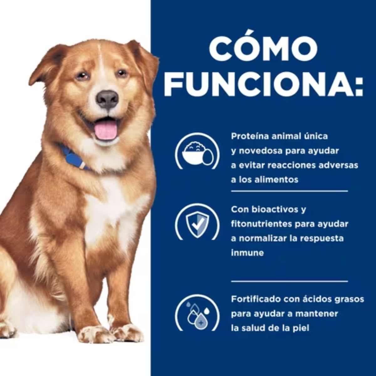 Hills PD Canine Dermcomplete 3 kg3