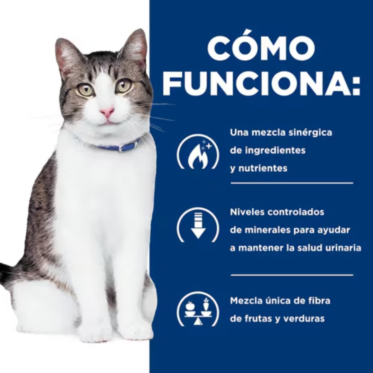 HILLS PD FELINE C/D+METABOLIC 6.35 LB (2.9 K)4