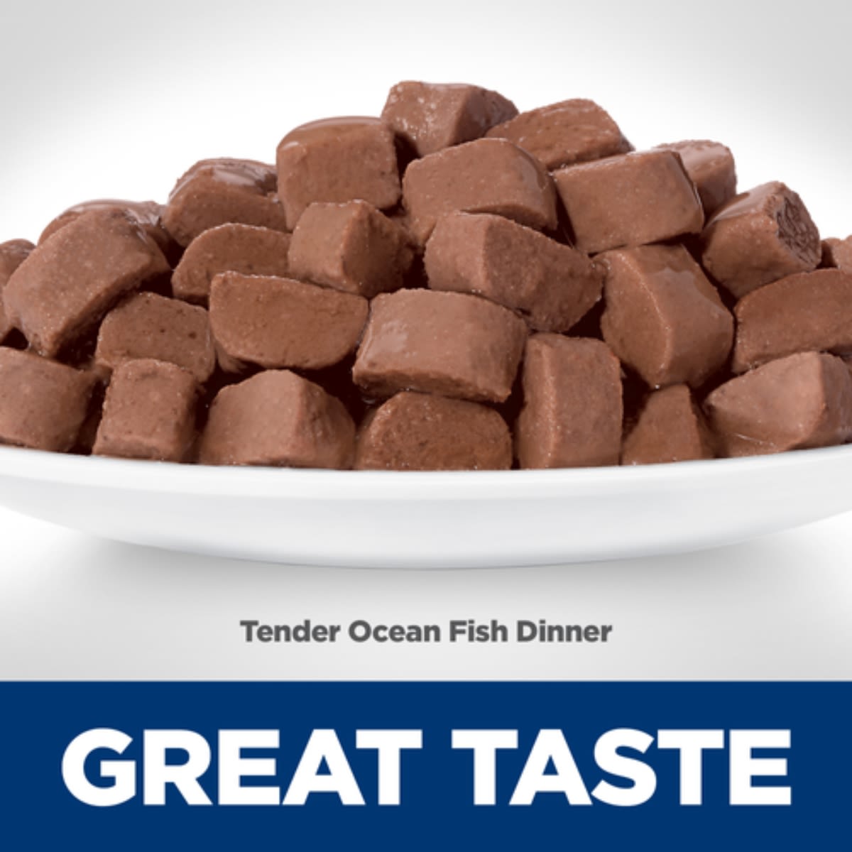 Hills SD Feline Adult Tender Ocean Fish Dinner sobre3