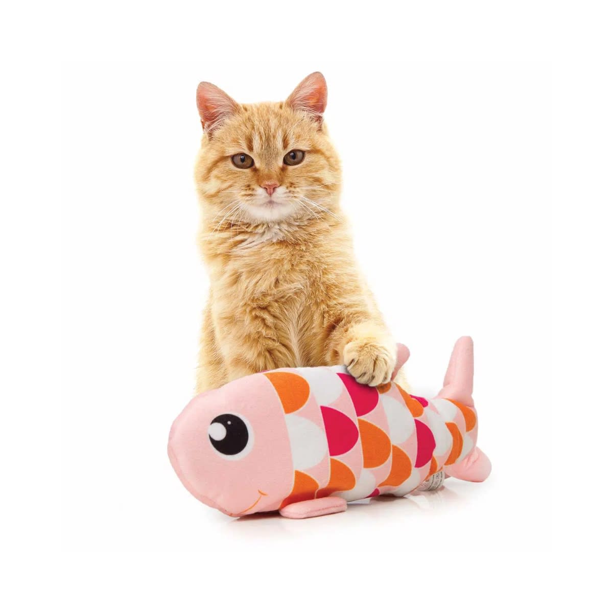 Juguete Cat it Groovy fish3