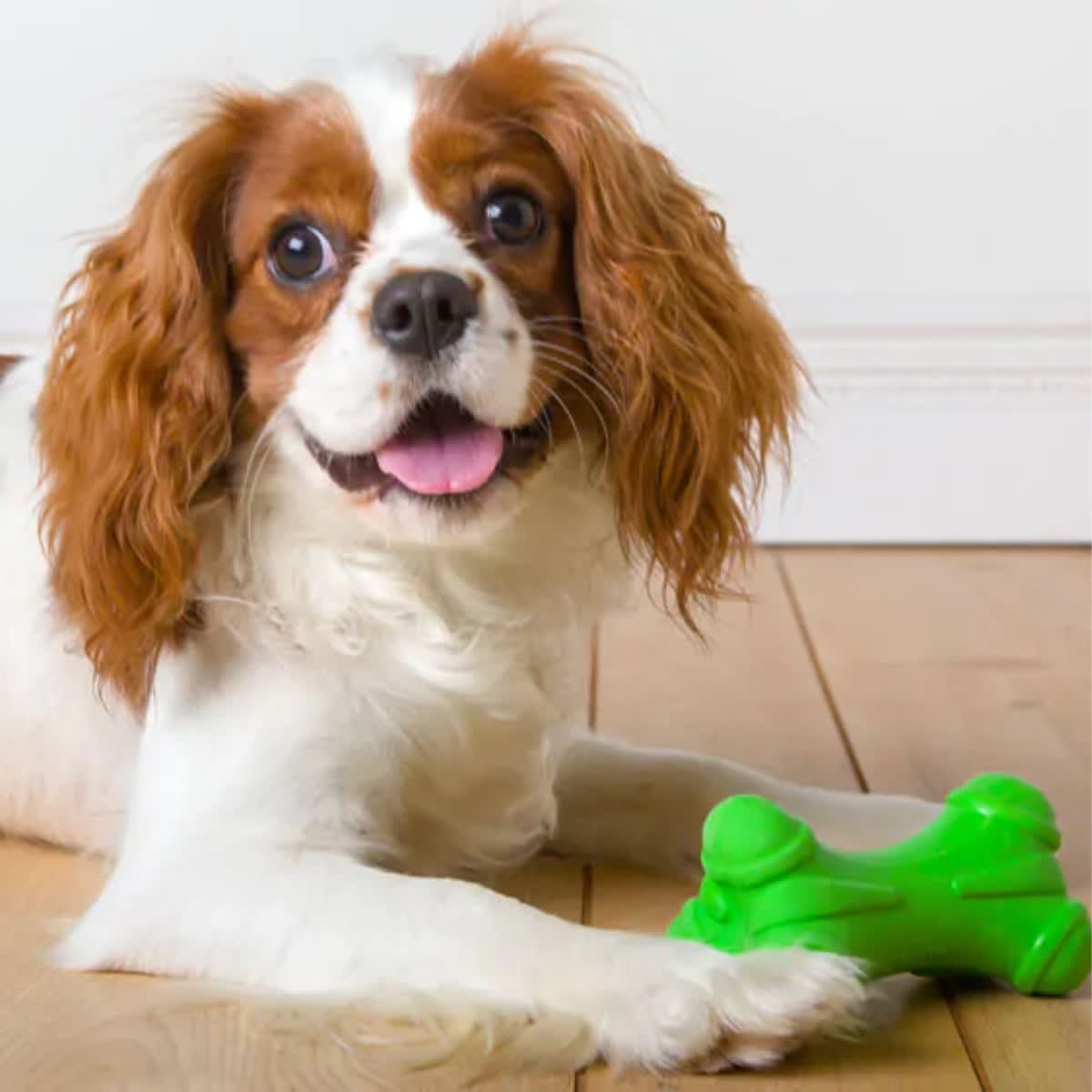 Juguete Hartz Duraplay Bone medium4