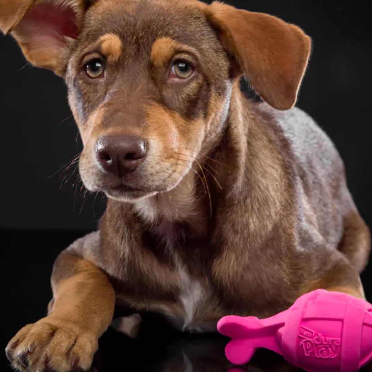 Juguete Hartz Duraplay Rocket large5