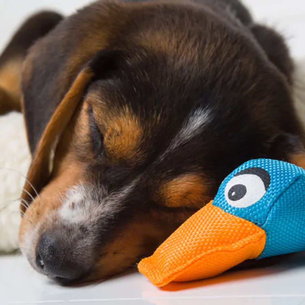 Juguete Hartz Nose Divers Flying4