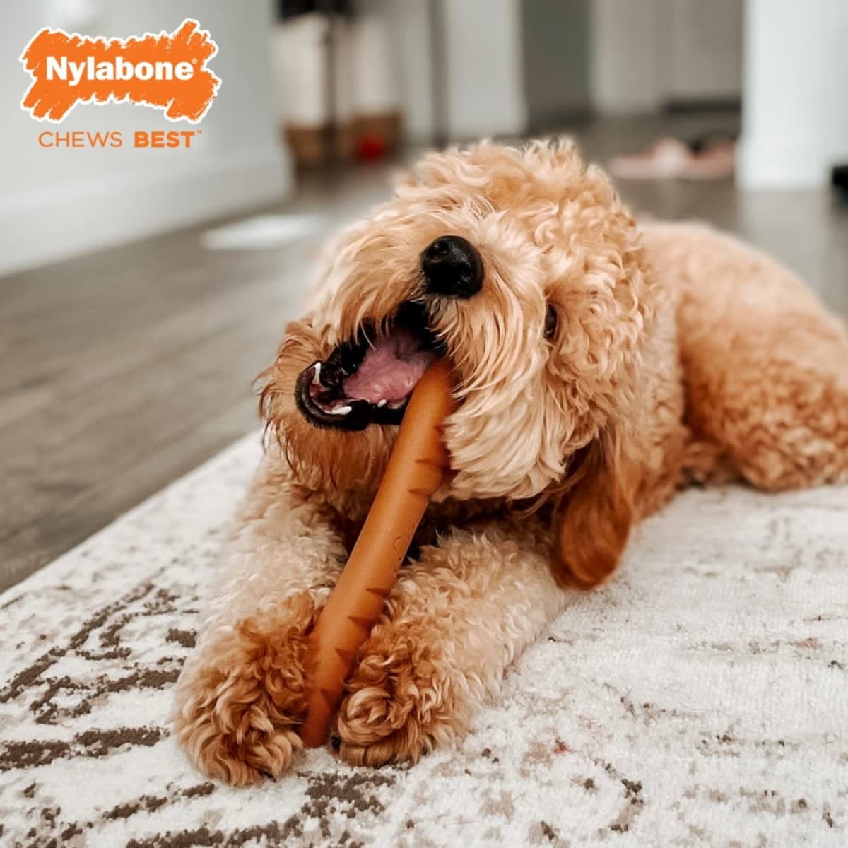 JUGUETE NYLABONE BAGUETTE BISTRO STYLE ROAST CHICKEN GIANT4