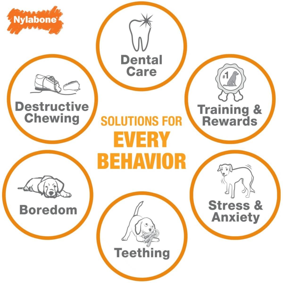 JUGUETE NYLABONE POWER CHEW TEXTURED BONE FLAVOR MEDLEY REGULAR4