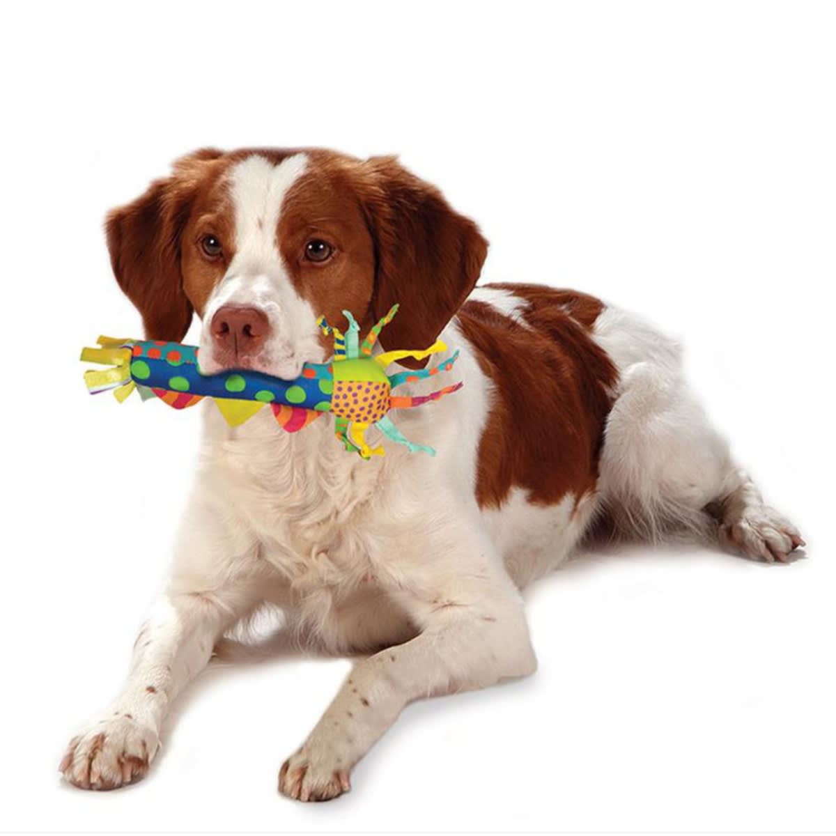 Juguete Petstages 126 Cool teething stick4