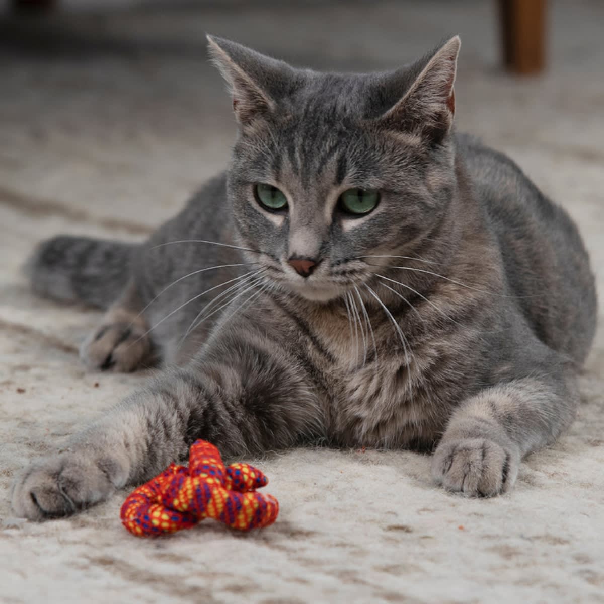 Juguete Petstages 333 Catnip plaque away pretzel3