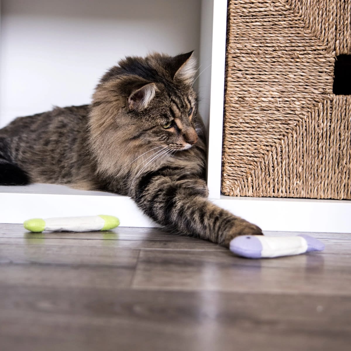 Juguete para gato Fish Flop2