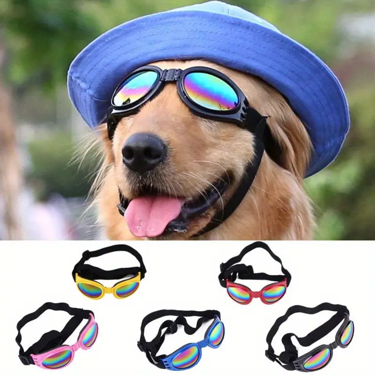 LENTES PARA PERRO5