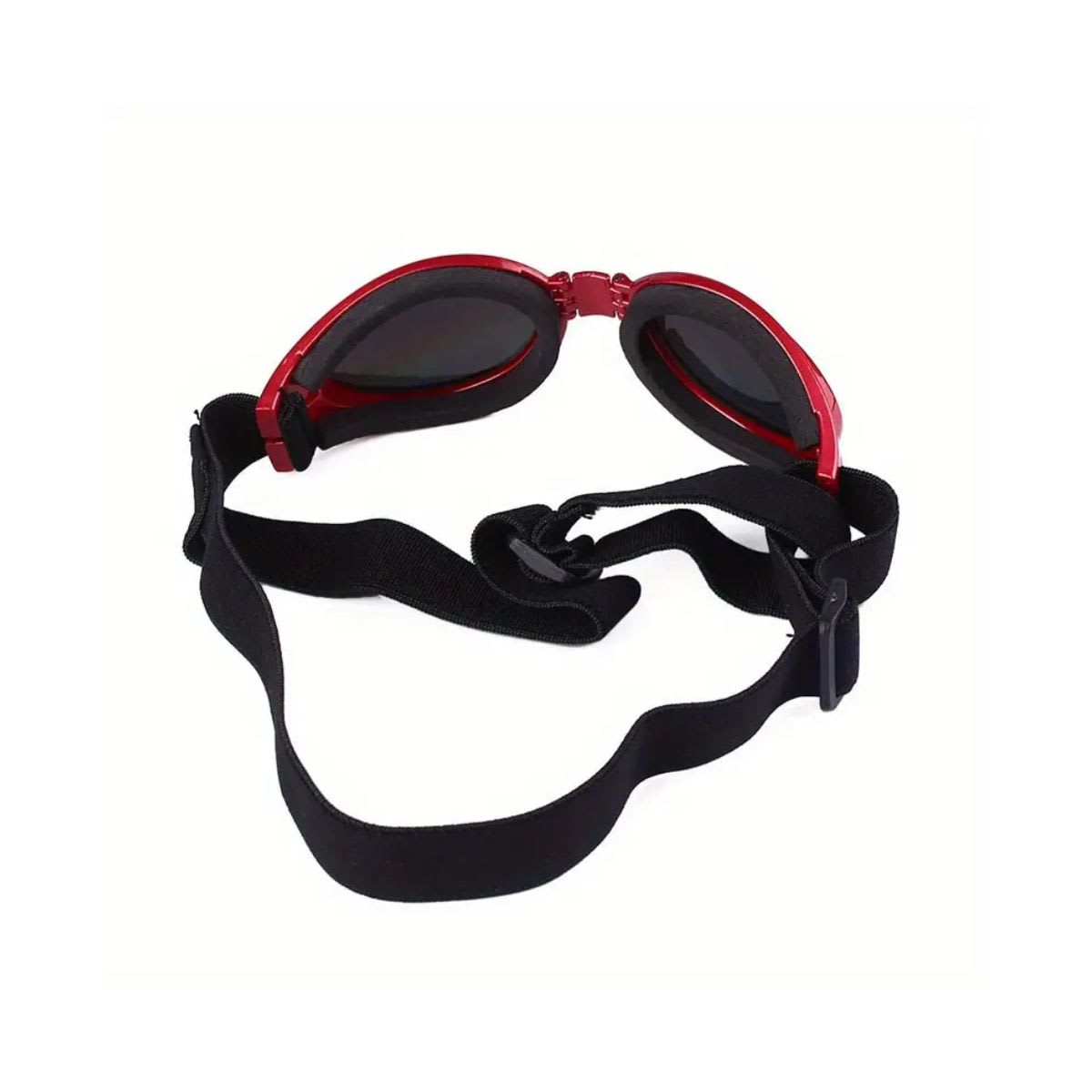 LENTES PARA PERRO4