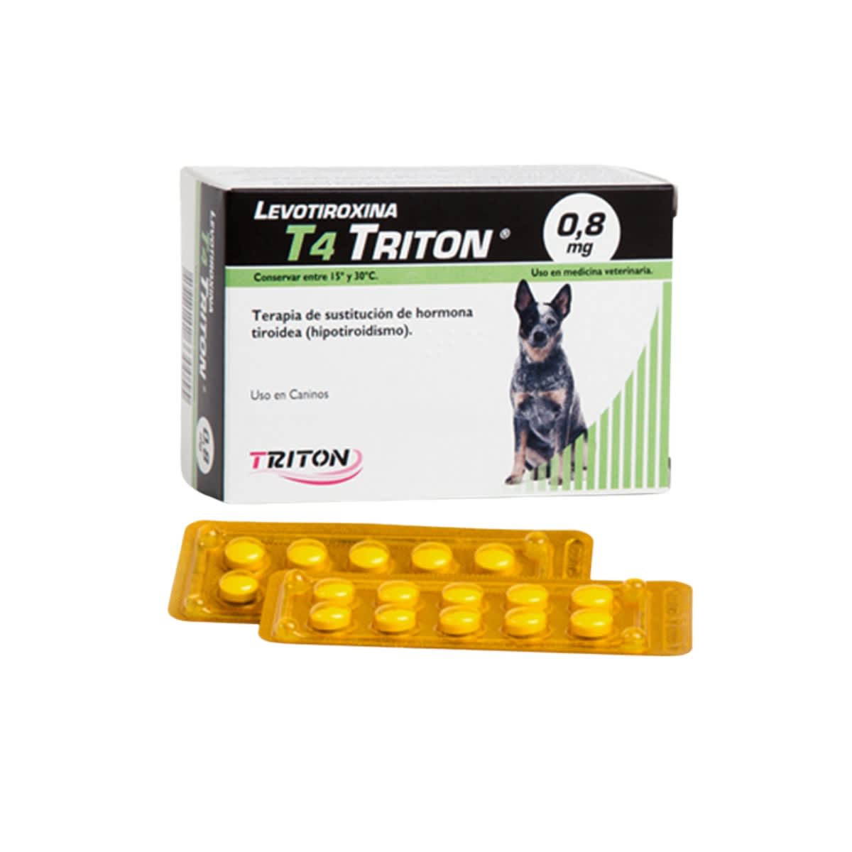 LEVOTIROXINA T42
