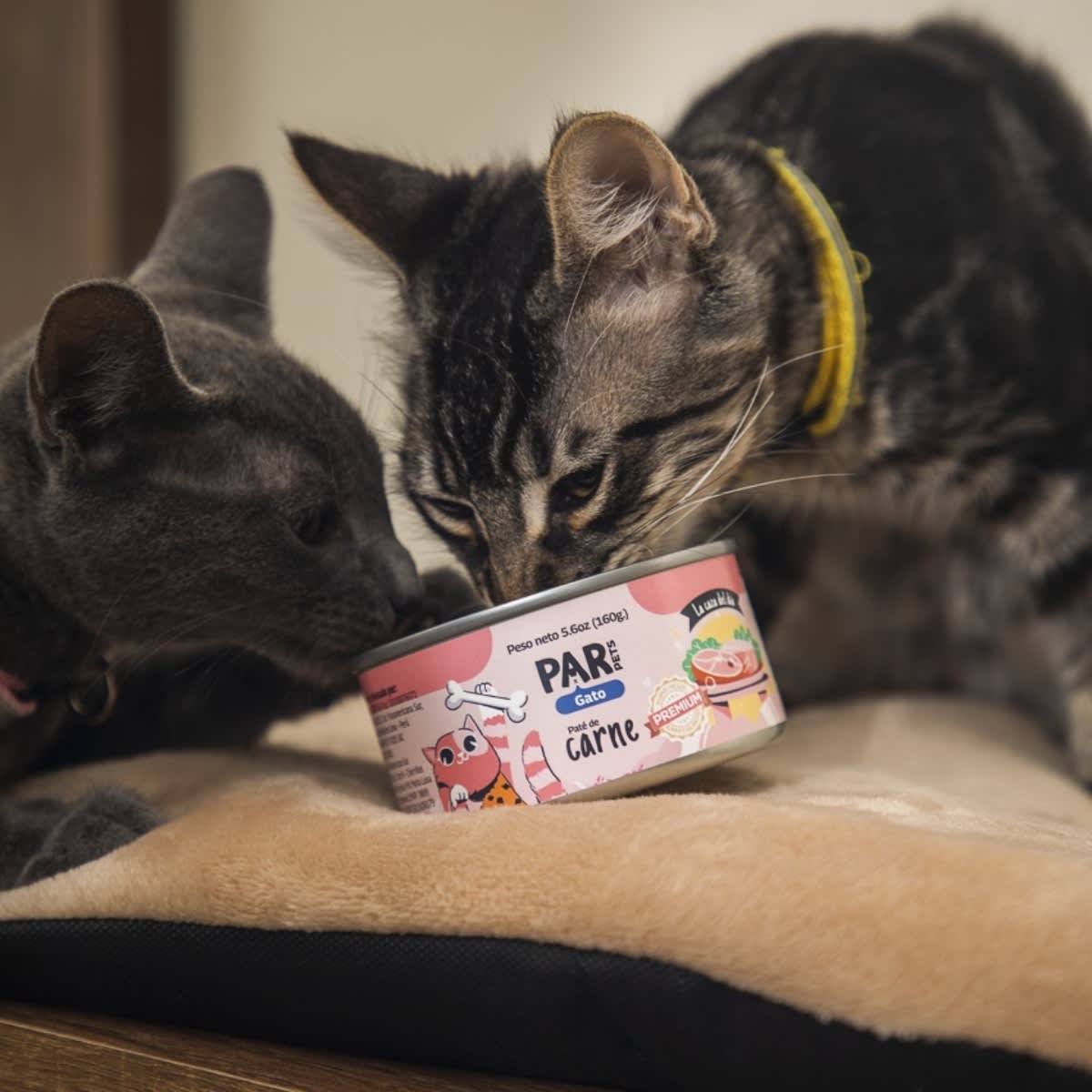 Par Pets gato paté de carne 160 g2