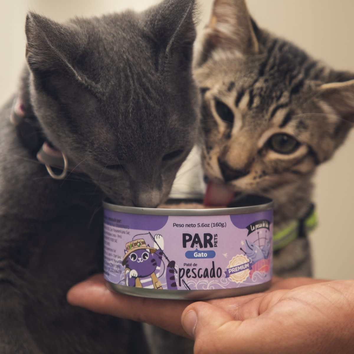 Par Pets gato paté de pescado 160 g2