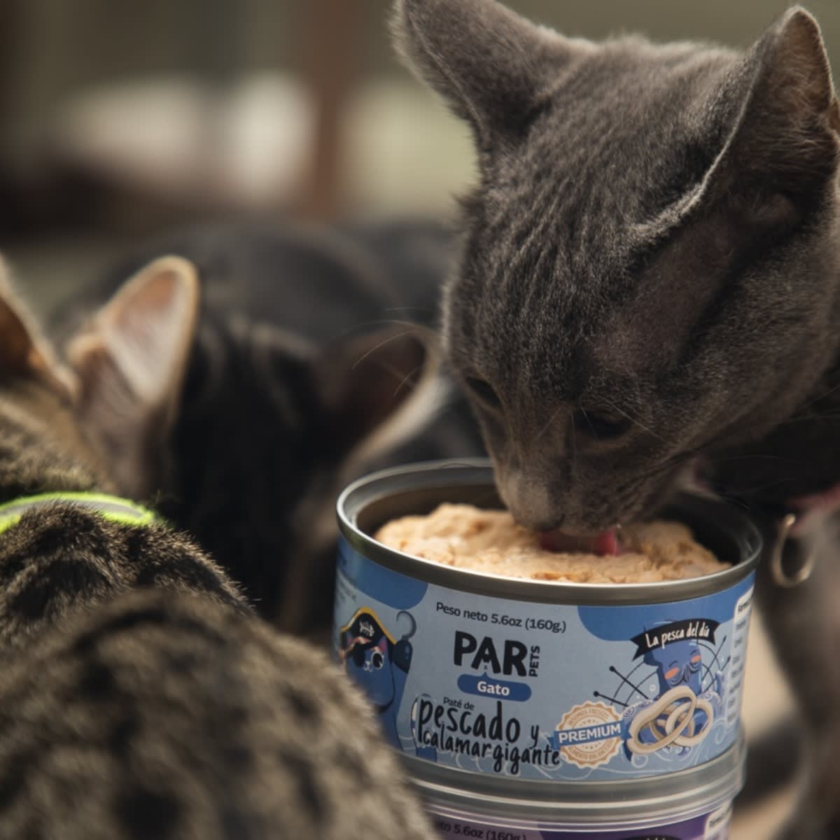 Par Pets gato paté de pescado y calamar gigante  160 g2