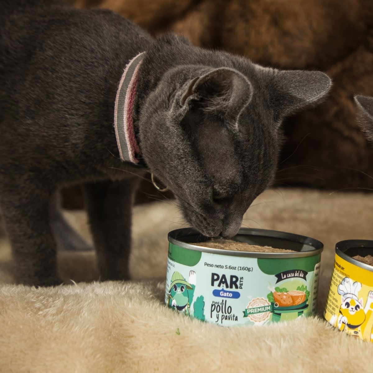 Par Pets gato paté de pollo y pavita 160 g2