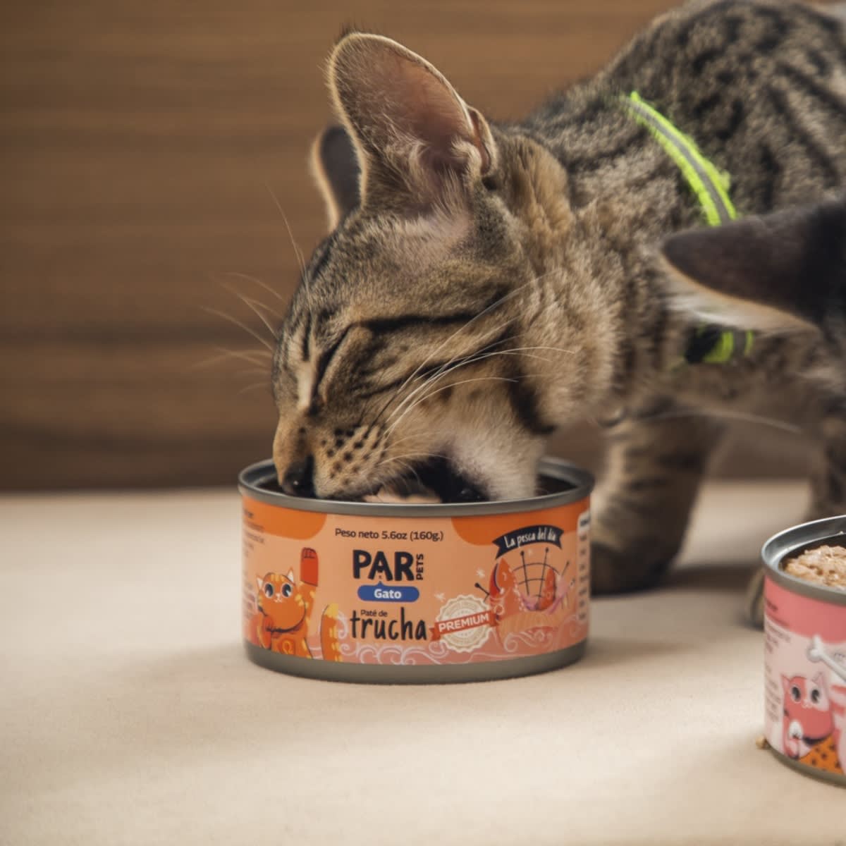 Par Pets gato paté de trucha 160 g2