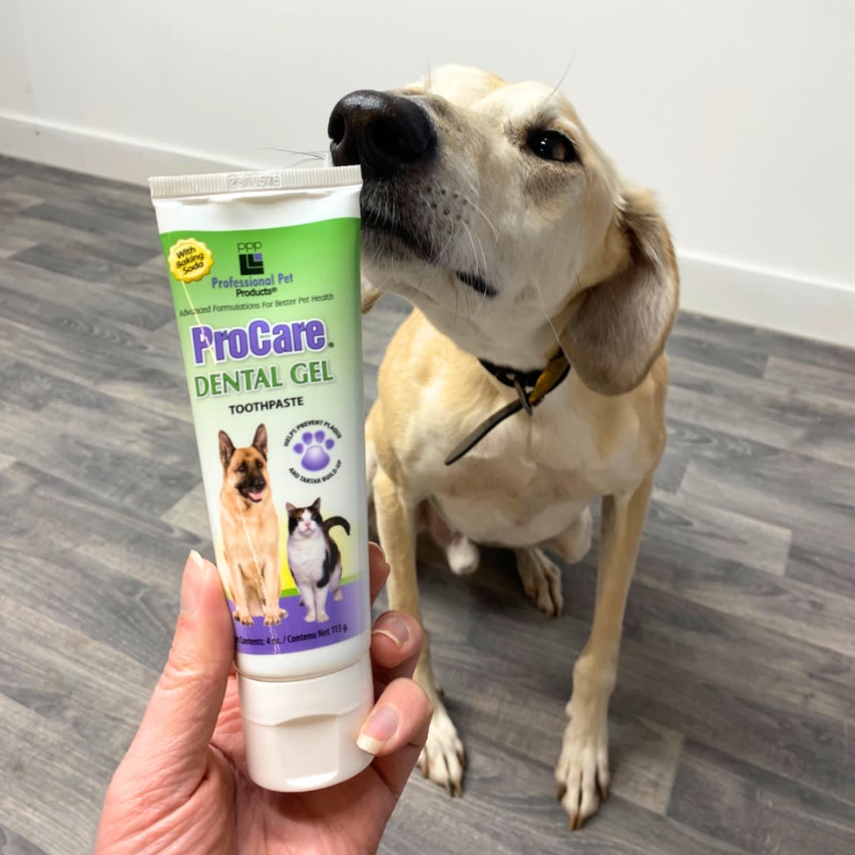 Pasta Dental Procare PPP 113 g2