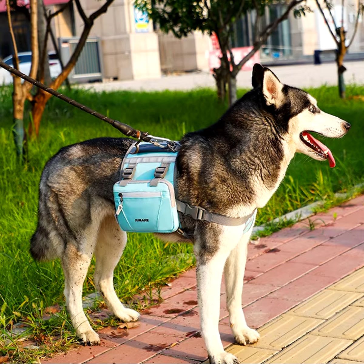 PECHERA MOCHILA GRANDE CON DOBLE BOLSO3