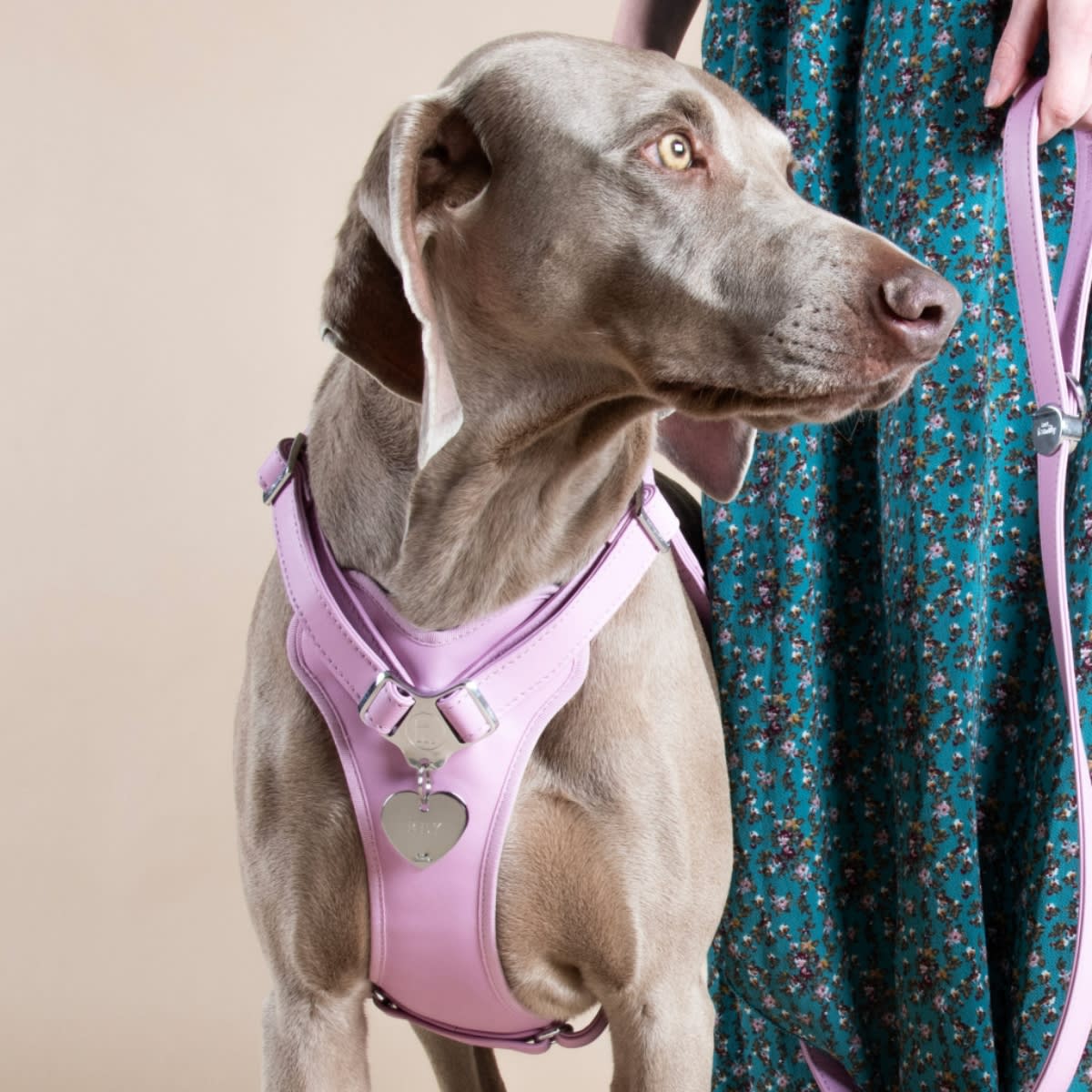 PLACA BASIC CHROME BIG HEART CHROMED BRASS (MFB26)3