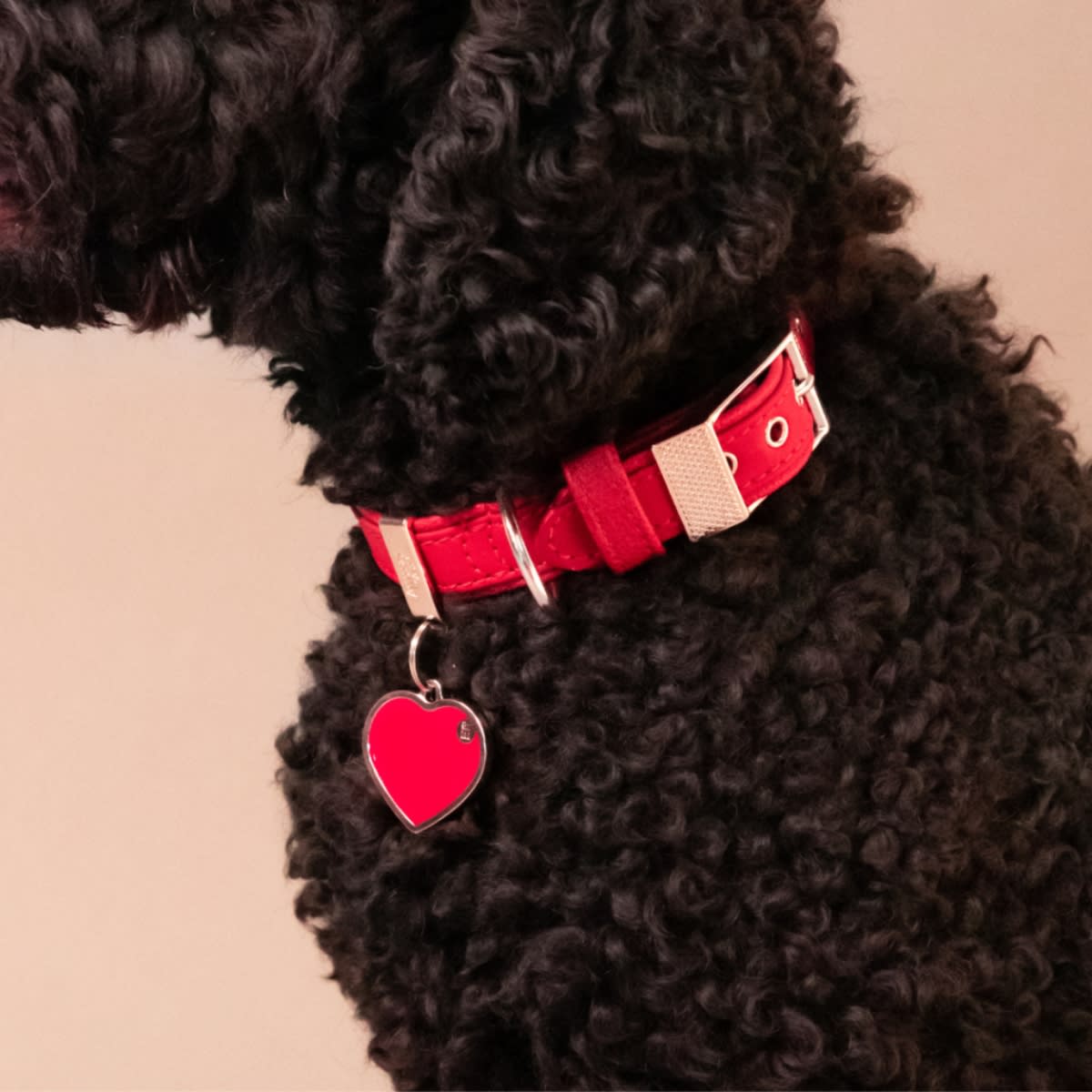 PLACA BASIC HANDMADE CORAZON GRANDE2