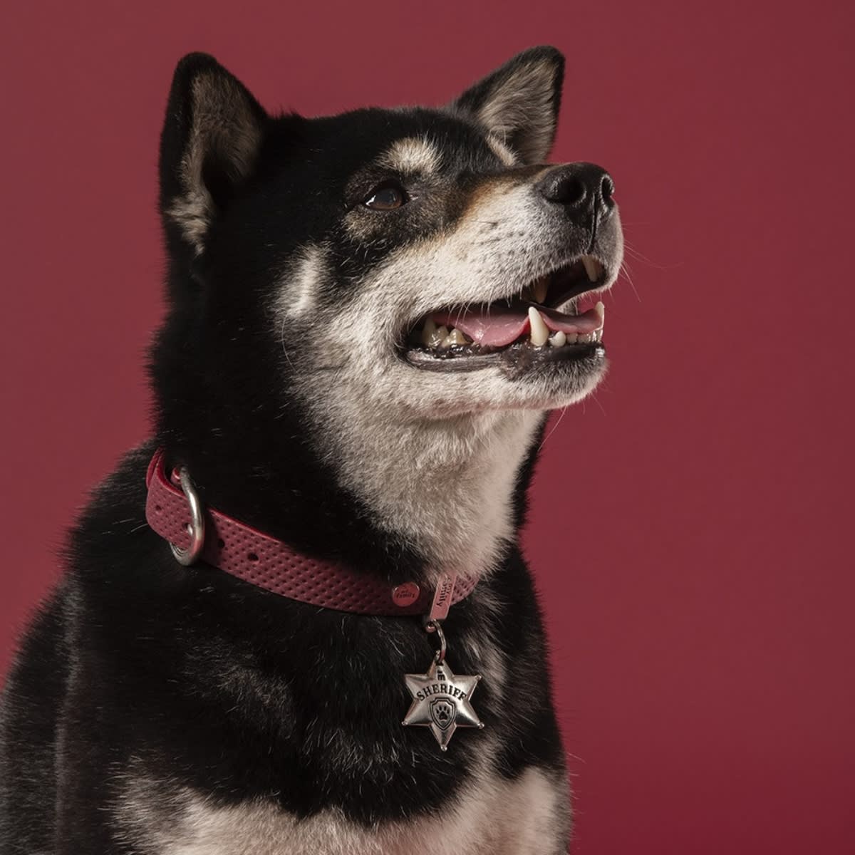 PLACA BRONX ESTRELLA ALGUACIL (BHSHERIFF02)2