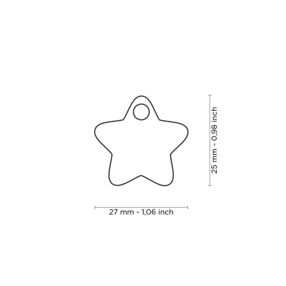 PLACA CHARMS ESTRELLA PEQUEÑA3