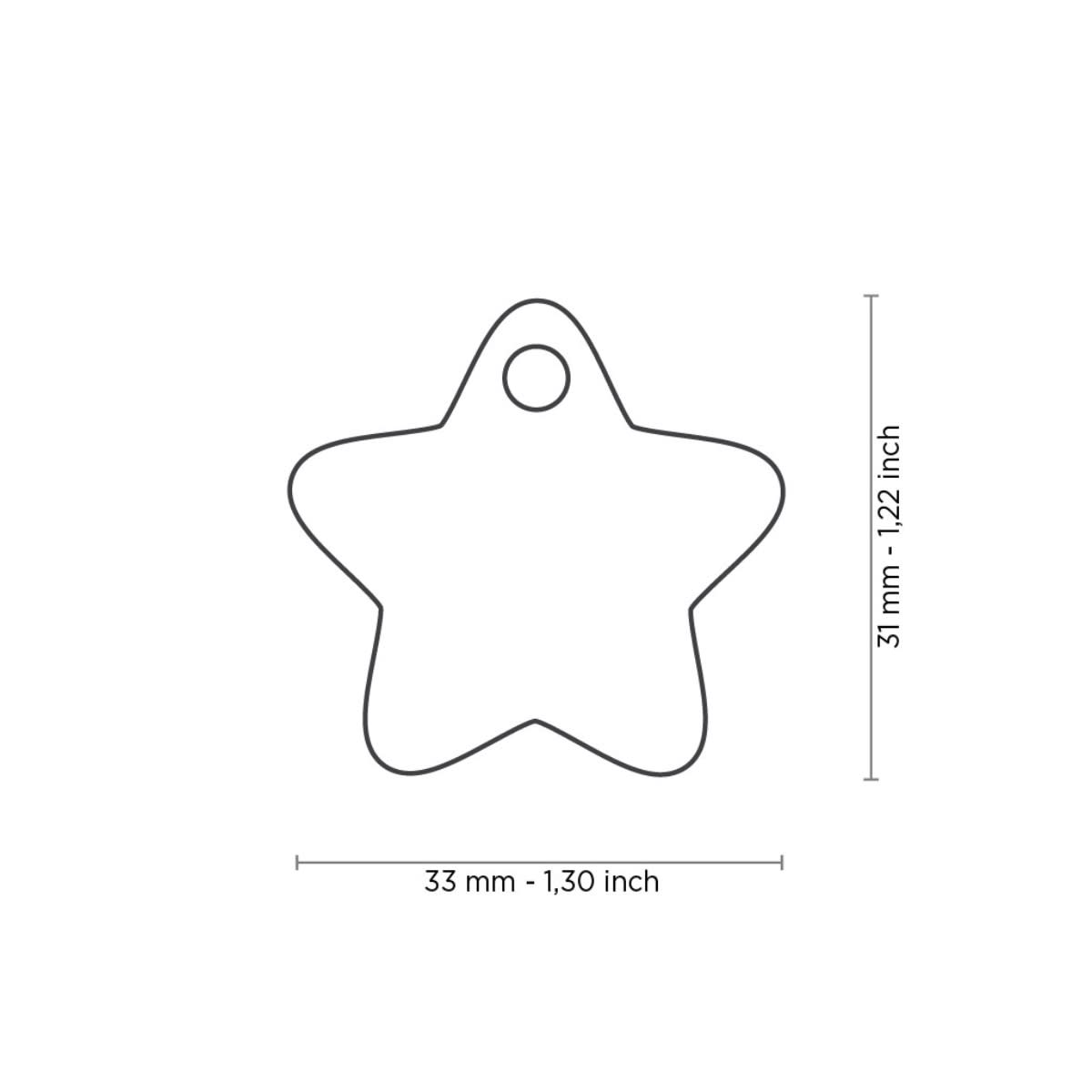 PLACA CHARMS ESTRELLA GRANDE3