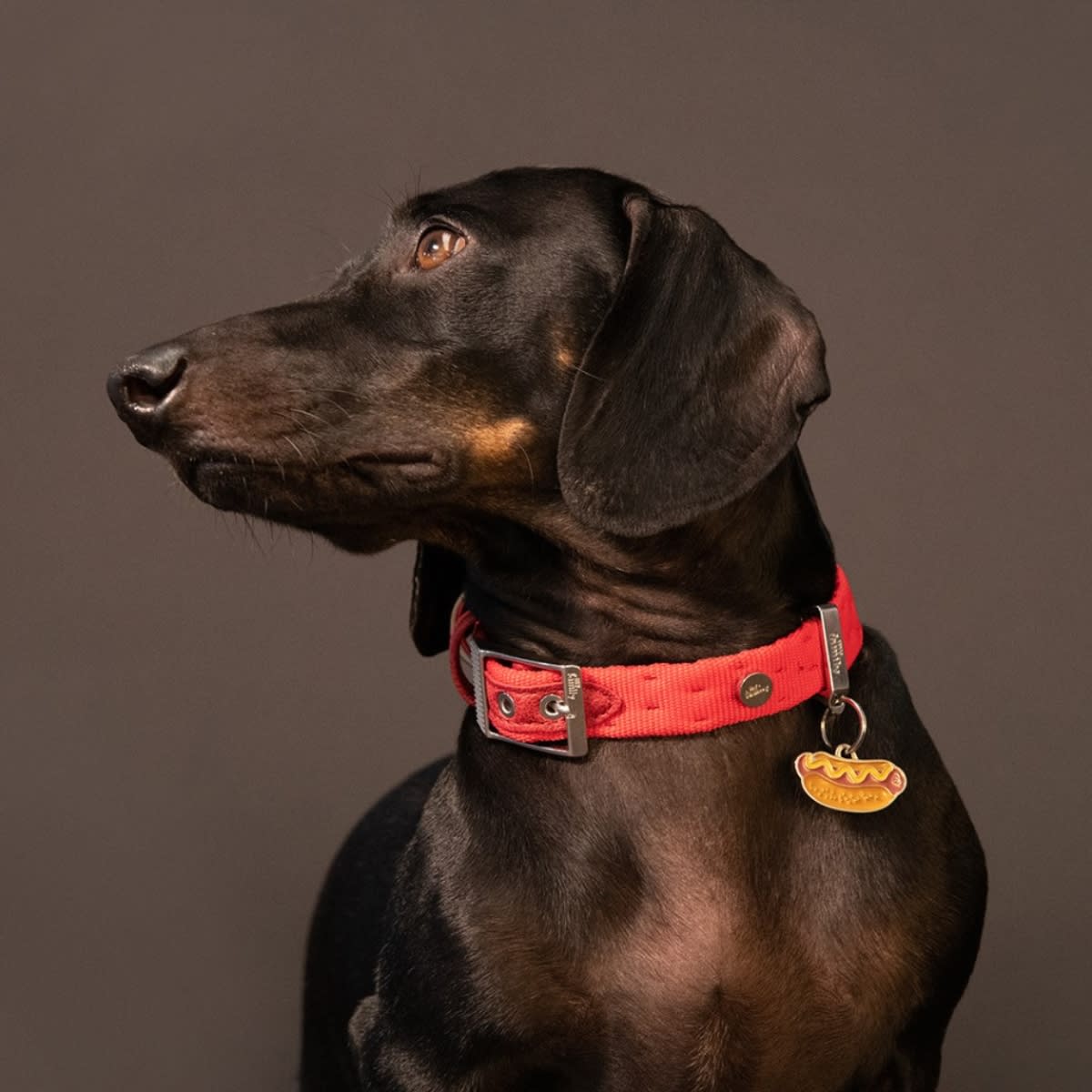 PLACA FOOD HOT DOG (CHOTDOG)2