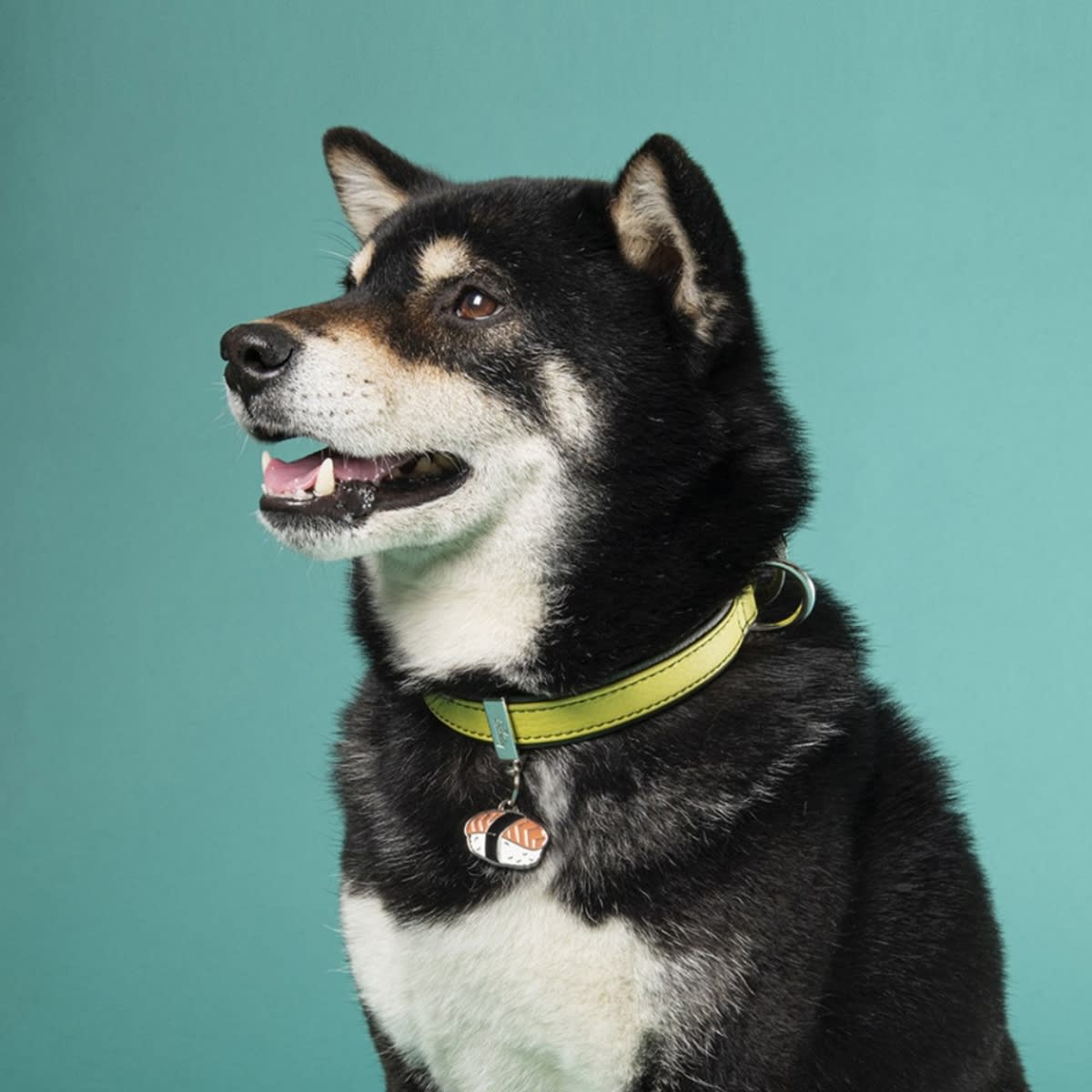 PLACA FOOD SUSHI (CHSUSHI)2