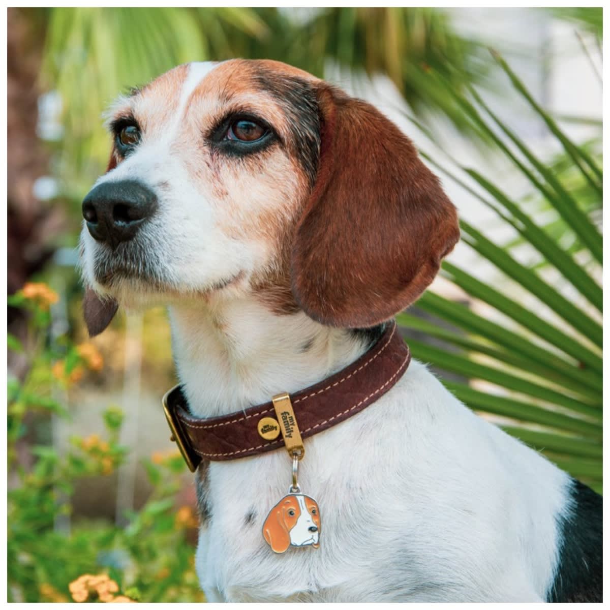 PLACA FRIENDS BEAGLE (MF04N)2