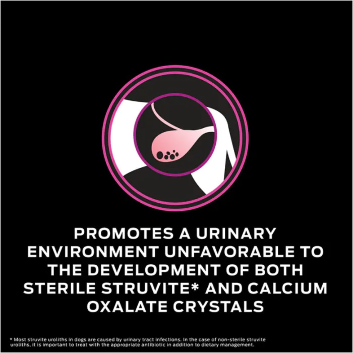 Pro Plan VD Canine UR Urinario 2 kg1