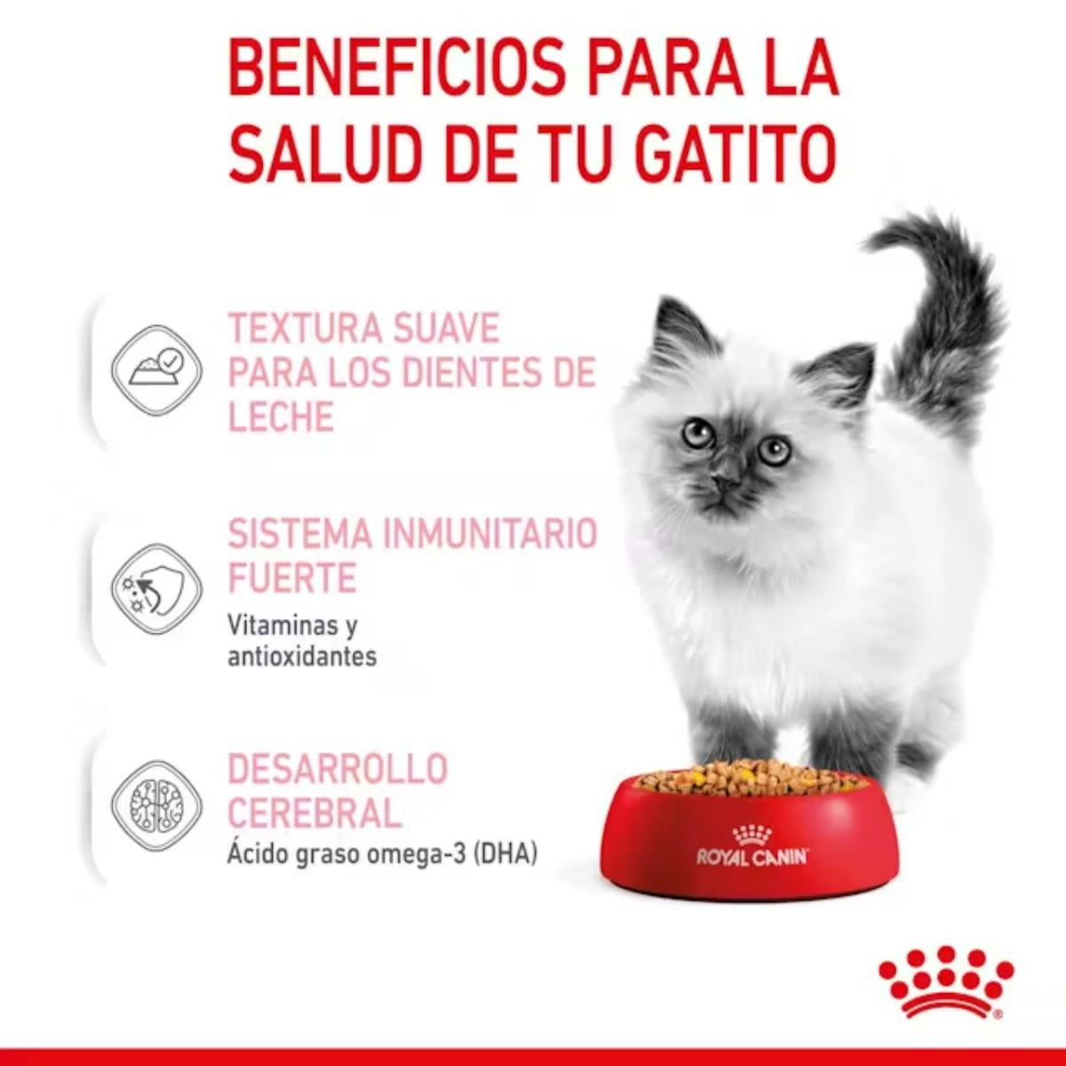 ROYAL CANIN CAT FHN KITTEN JELLY SACHET 85 G2