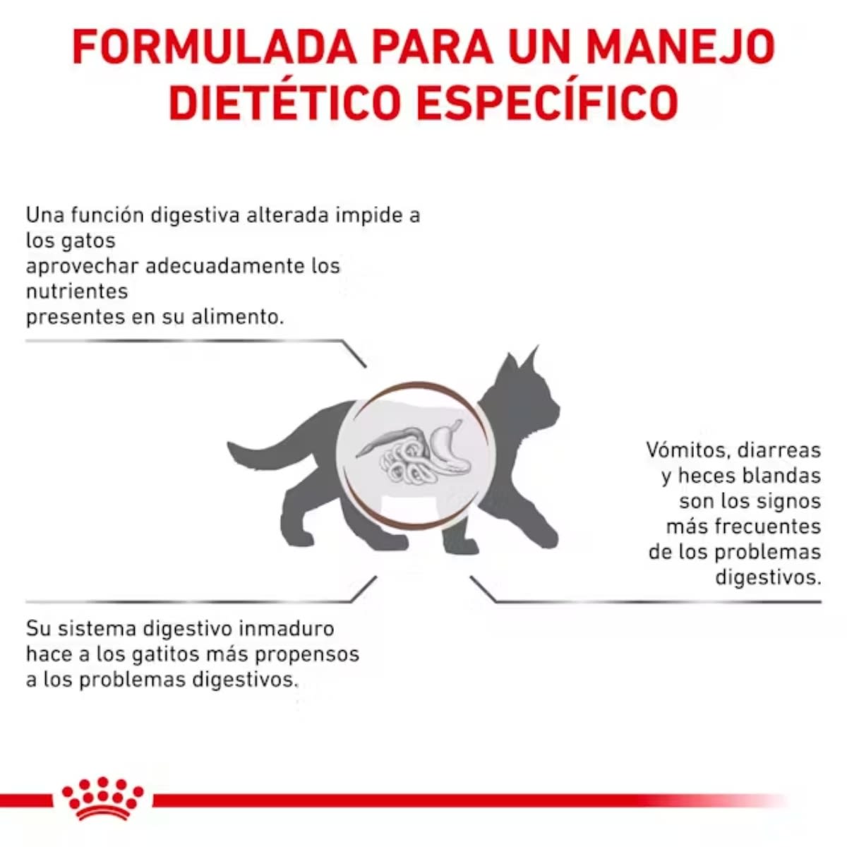 ROYAL CANIN CAT VHN GASTROINTESTINAL KITTEN2